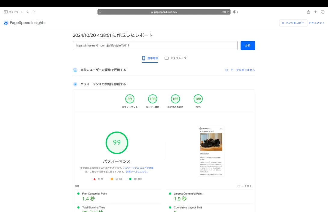 Page Speed Insights judgement results.