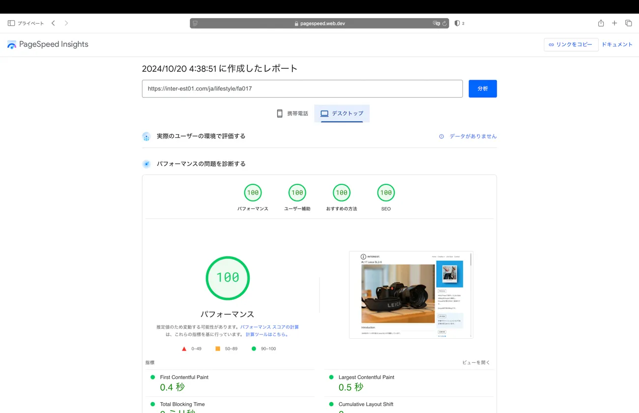 PageSpeed Insights score results