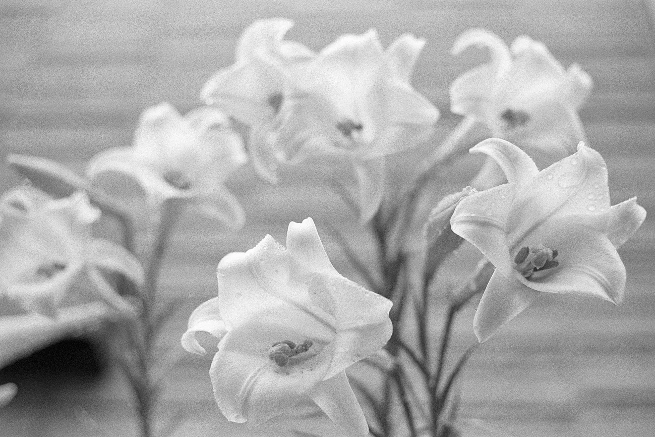 Leica M3 Photo 04