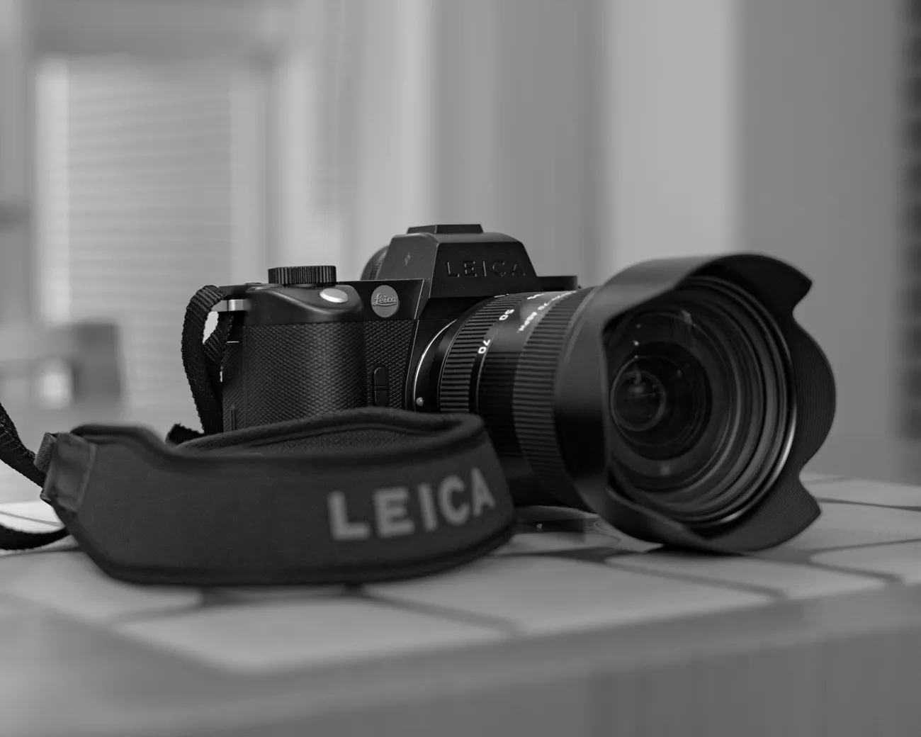 Leica SL2-S